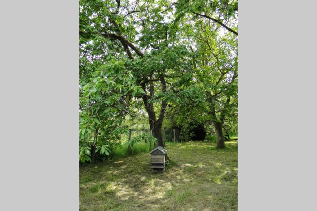 Miller'S Farm. Cottage On The Auhtie For 2 Hem-Hardinval Exterior photo